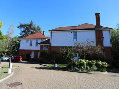 Picture 19